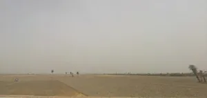 Lohsinghani, Haryana, India preview 3
