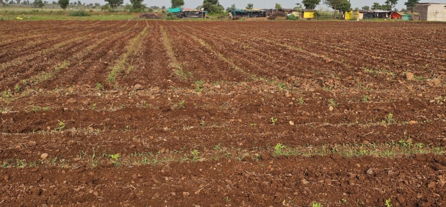 Talwadiya, Khandwa, Madhya Pradesh 450991, India