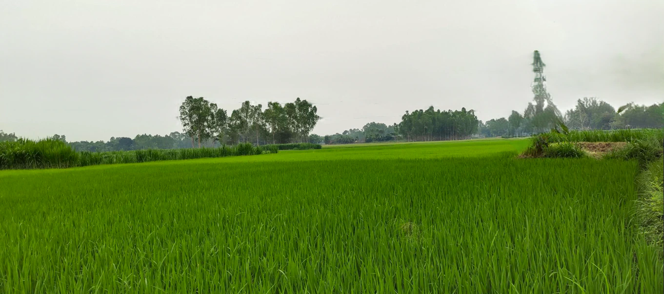 Atrauli, Uttar Pradesh, India