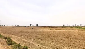 Sohna, Haryana 122103, India preview 2