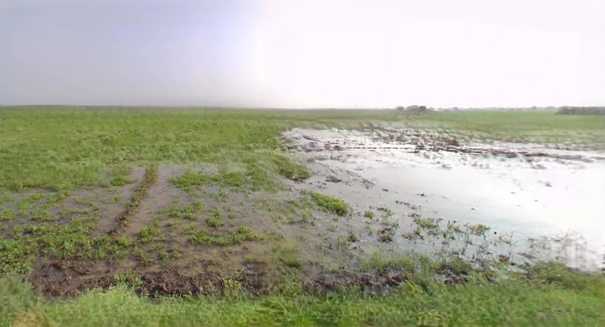 Kothi, Madhya Pradesh 485666, India