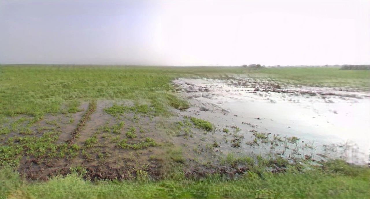 Kothi, Madhya Pradesh 485666, India