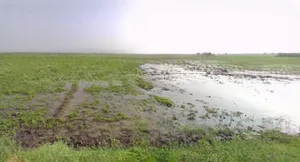 Kothi, Madhya Pradesh 485666, India preview 3