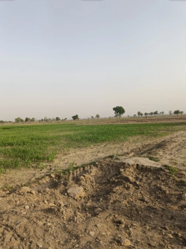 Prithipura, Rajasthan 326039, India