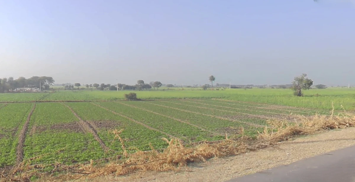 Diggi, Rajasthan 304504, India