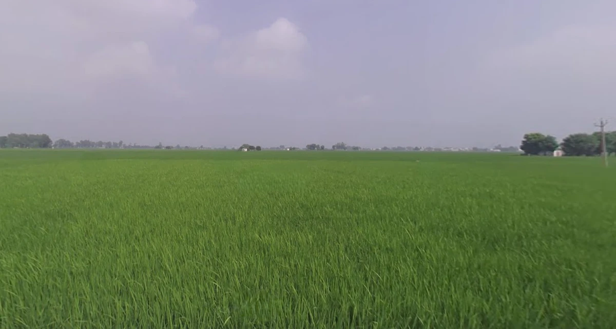 9X6C+QJG, Dalod, Gujarat 382130, India