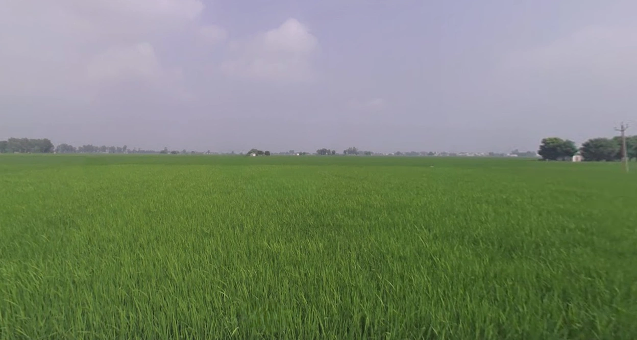 9X6C+QJG, Dalod, Gujarat 382130, India