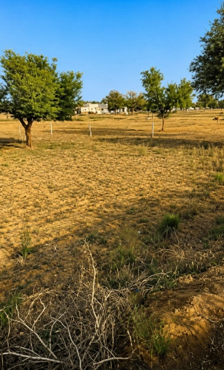 6M8H+4VX, Alwar, Ishwana, Rajasthan 301408, India