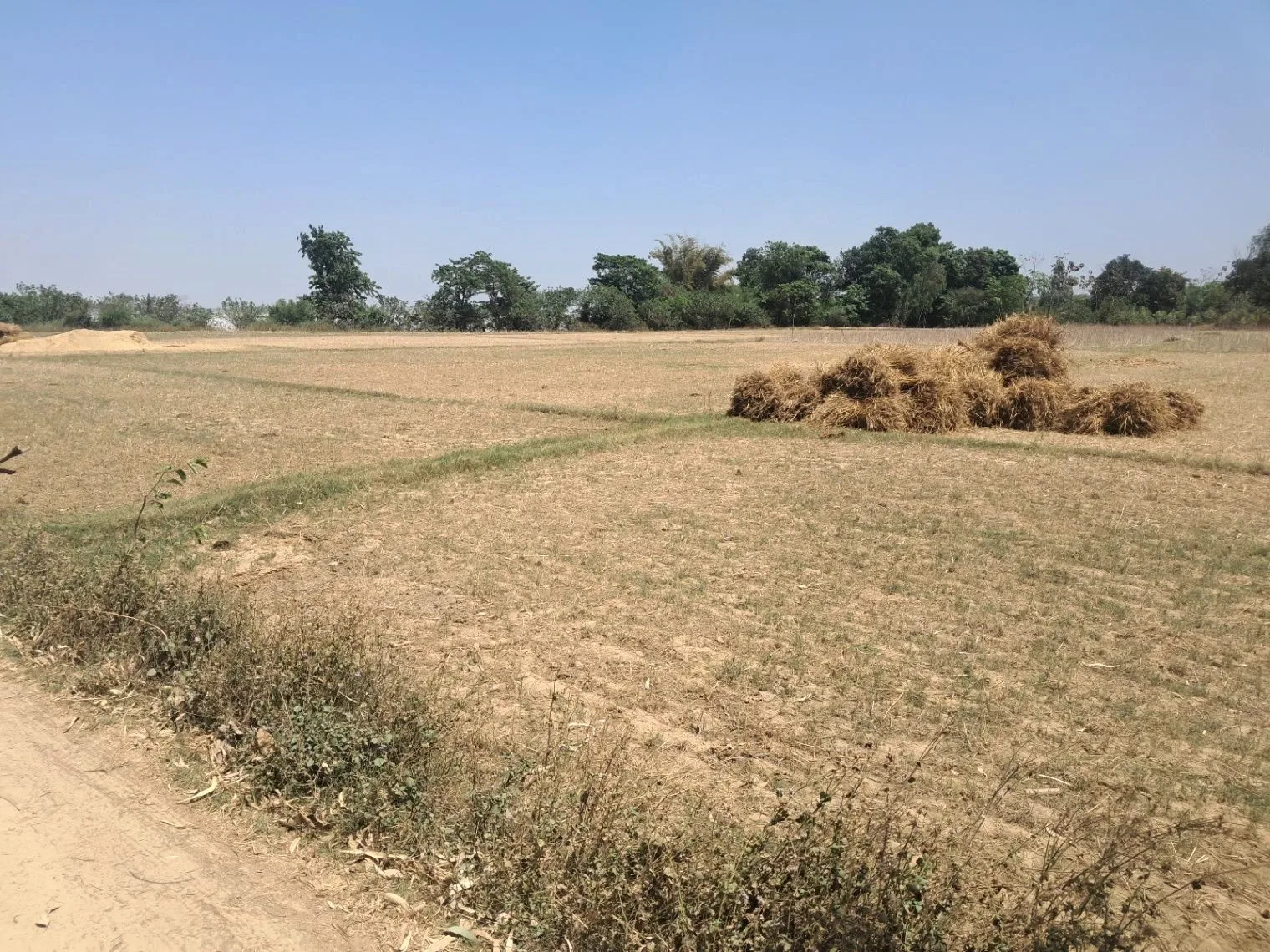 Q7GG+JH Adam Pur Bhatpurwa, Uttar Pradesh, India