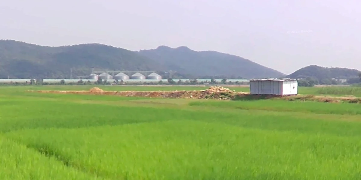 Pachama, Madhya Pradesh, India