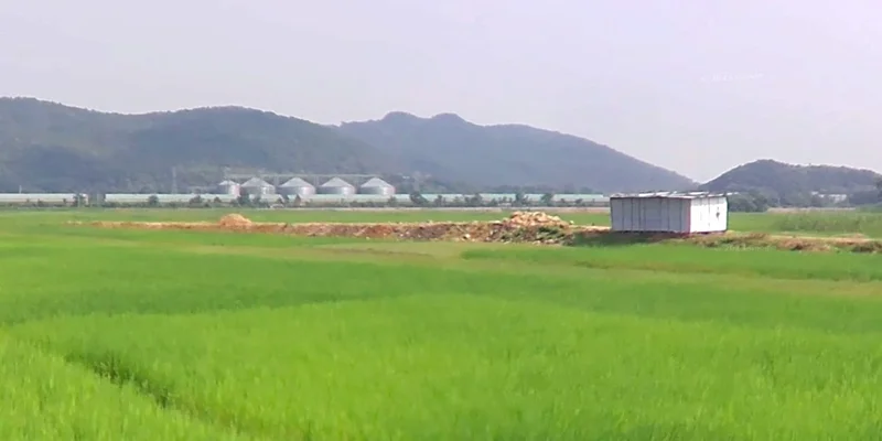 Pachama, Madhya Pradesh, India preview 3