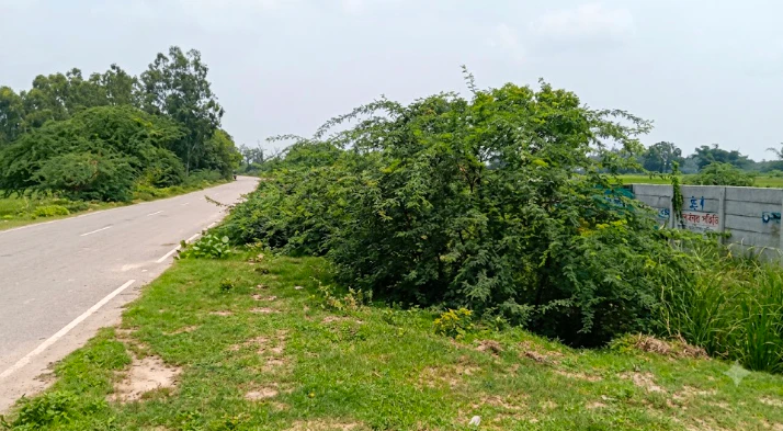 Purwa, Unnao, Uttar Pradesh, India