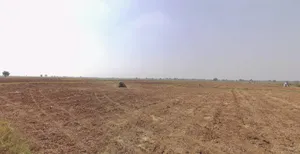 Sukhsar, Gujarat 389190, India preview 2