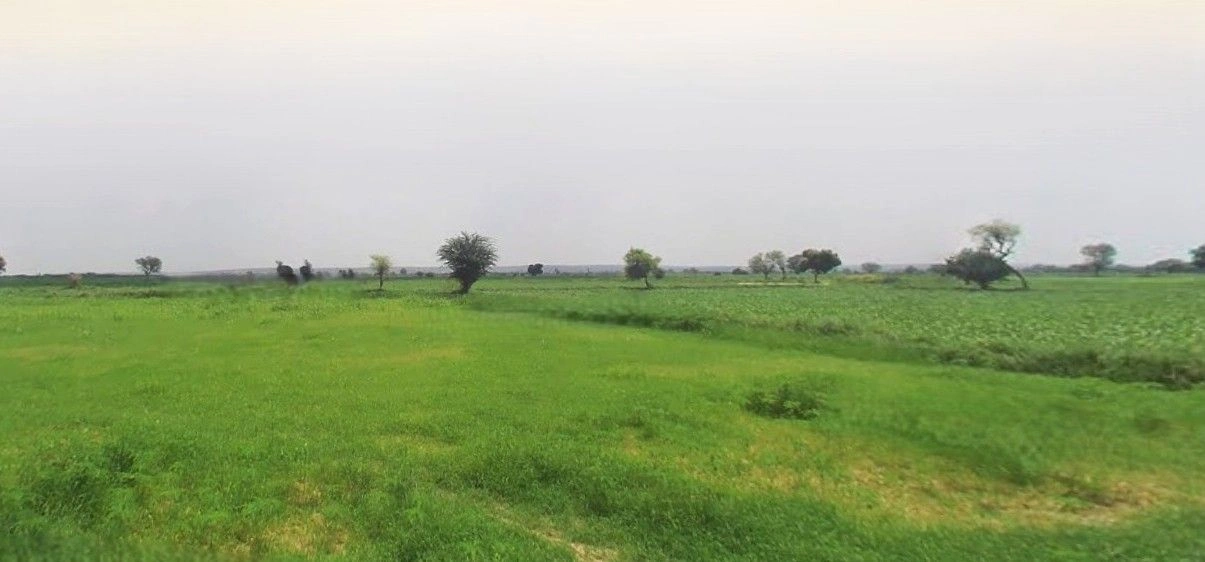 Mant, Uttar Pradesh 281202, India