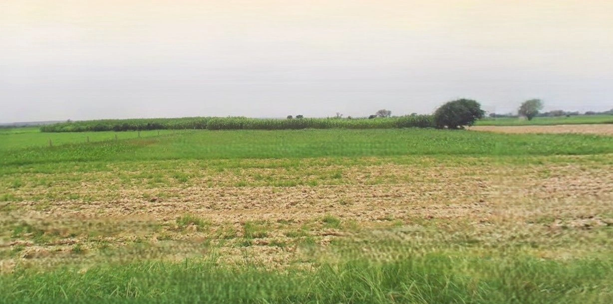 Iglas, Uttar Pradesh 202124, India preview 3