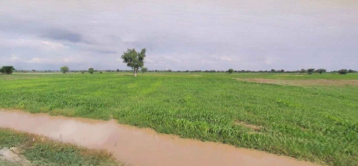 Mant, Uttar Pradesh 281202, India