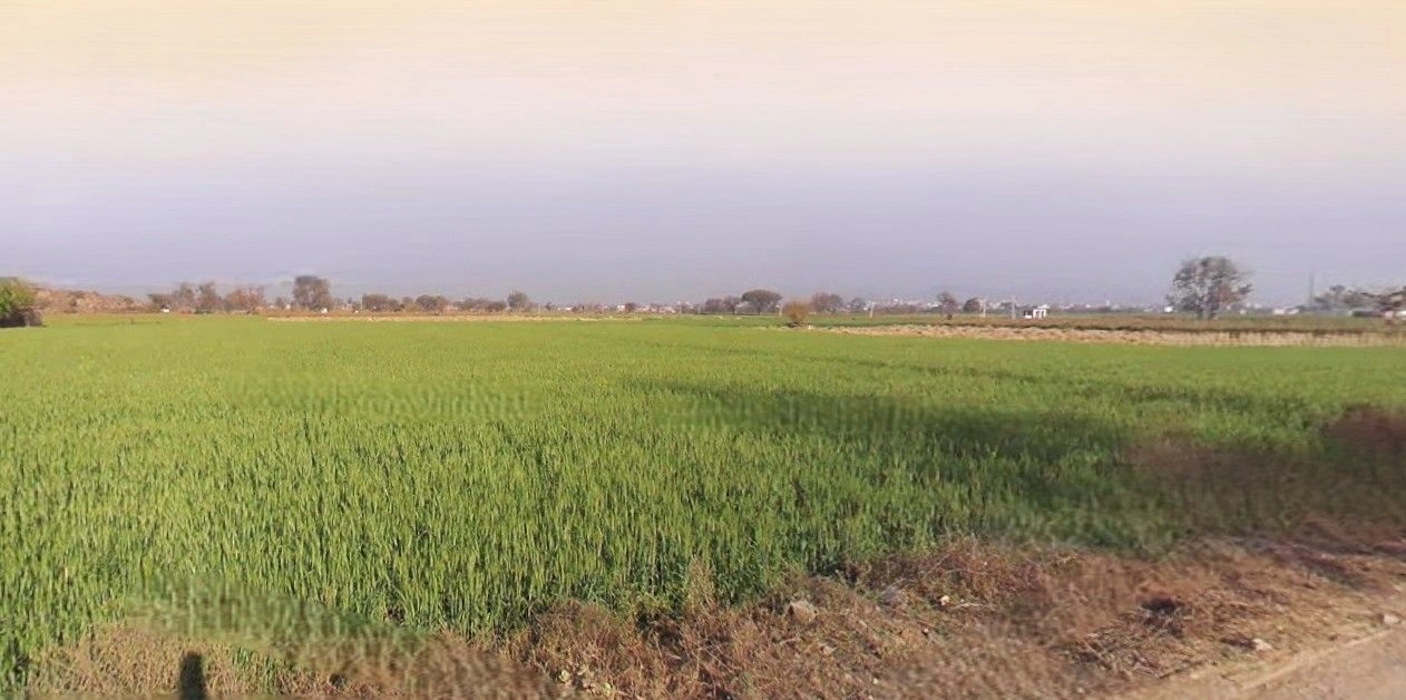 Mant, Uttar Pradesh 281202, India preview 2