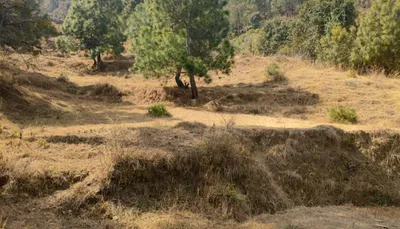 Ambiwala, Uttarakhand 248007, India preview 3