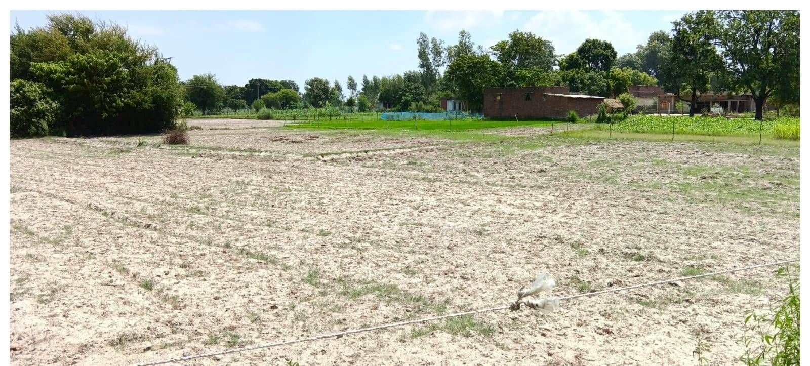 P52G+HX Birauli, Uttar Pradesh, India
