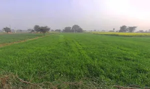 Khatauli, Uttar Pradesh 251201, India preview 2