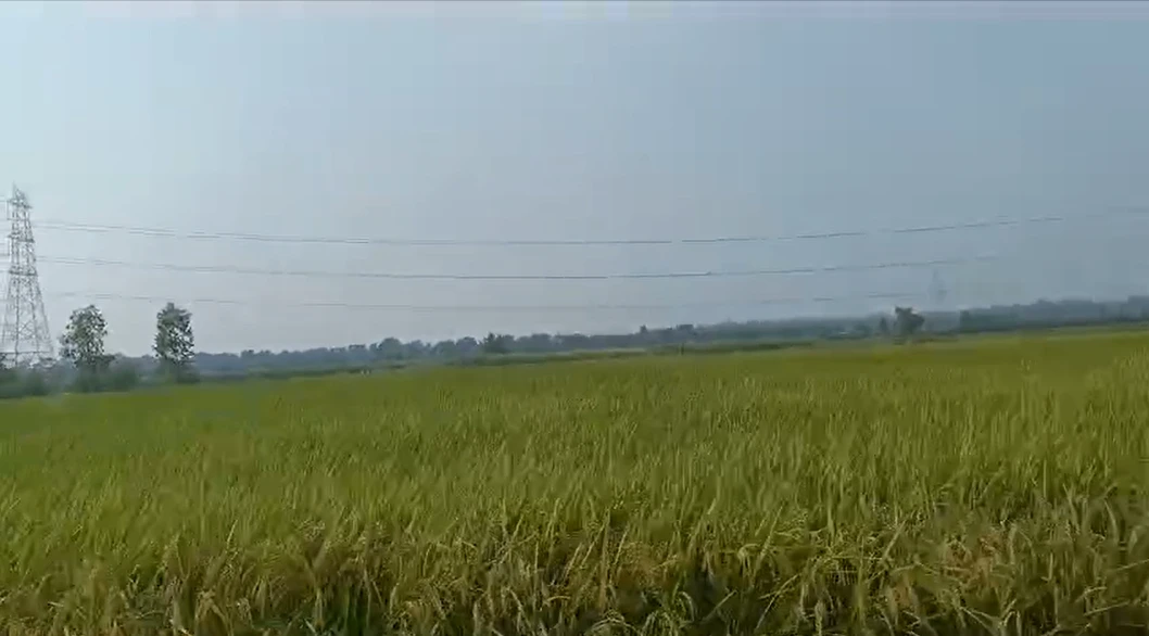 Bijnor, Uttar Pradesh 246701, India