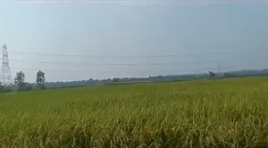 Bijnor, Uttar Pradesh 246701, India preview 3