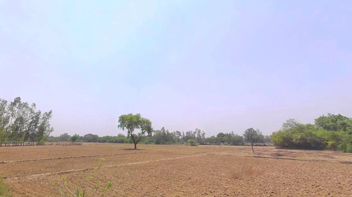 Nimeda, Rajasthan 303005, India