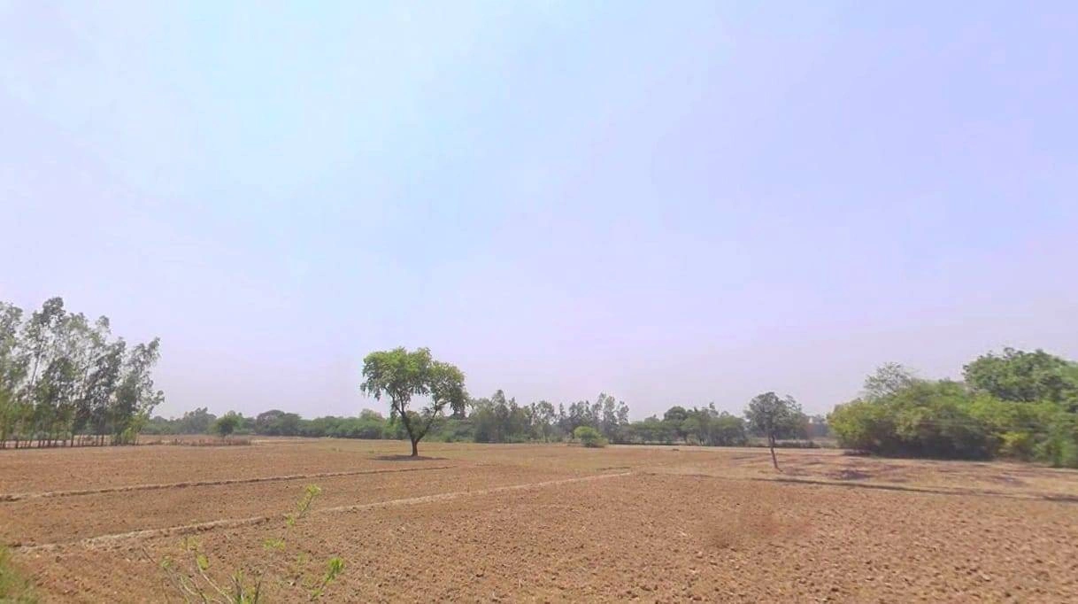 Nimeda, Rajasthan 303005, India