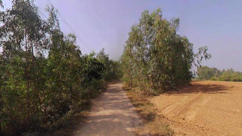 Matanhail, Haryana 124106, India preview 2