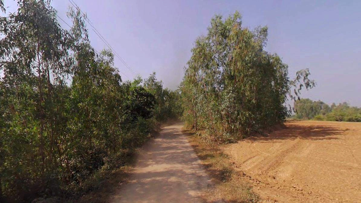 Matanhail, Haryana 124106, India