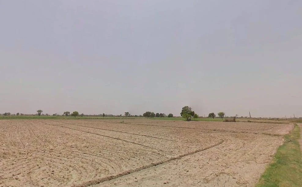 Bhadana, Haryana 131403, India