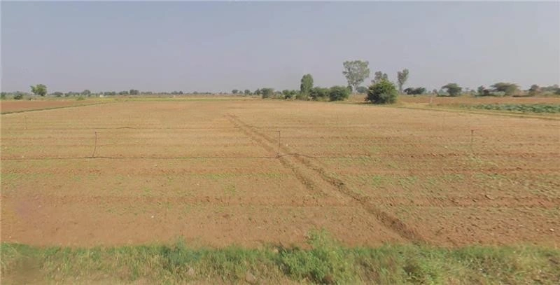 PWV2+92 Valla, Gujarat, India