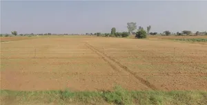 PWV2+92 Valla, Gujarat, India preview 2