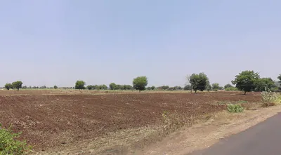 Kundiya, Madhya Pradesh 451001, India preview 3