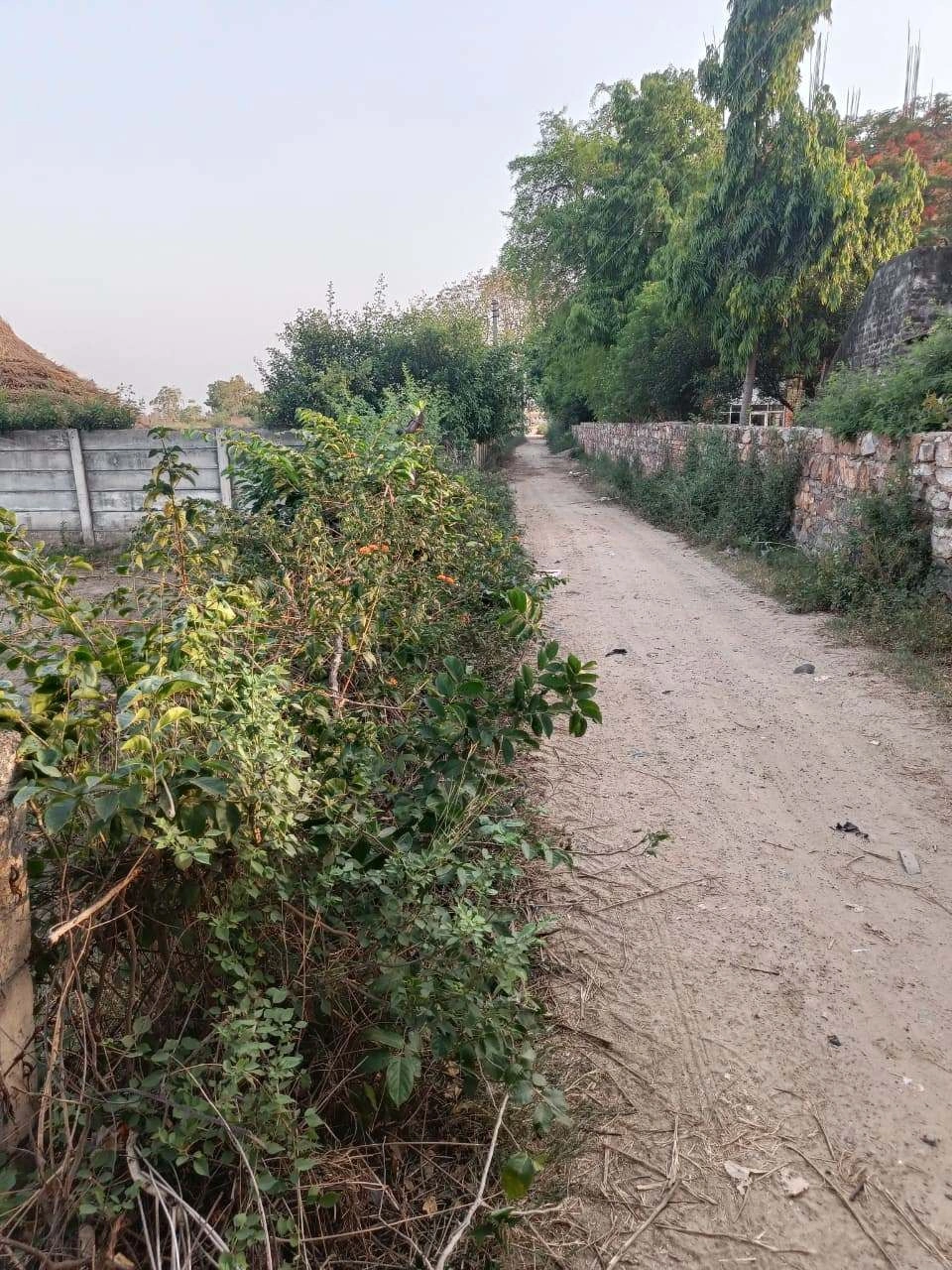 Chandauri, Uttar Pradesh, India