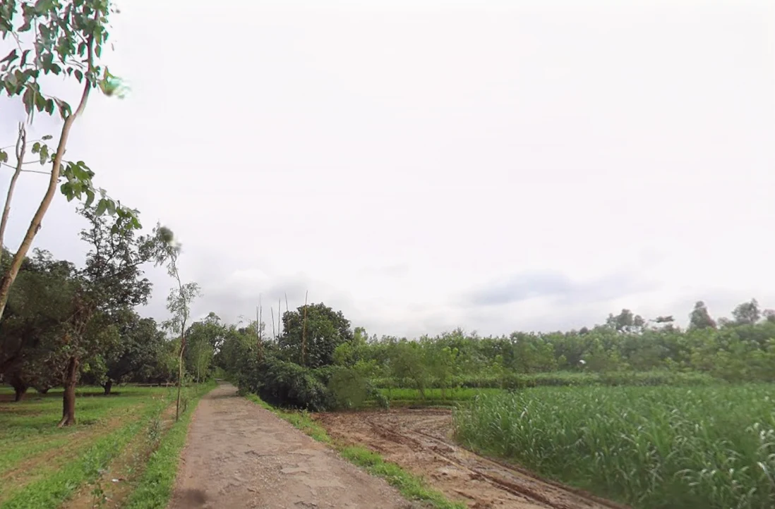 Gumti, Uttar Pradesh 247120, India preview 2