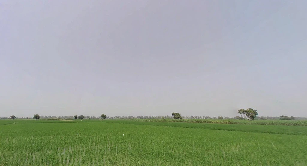 7472+Q69, Panipat, Matnauli, Haryana 132122, India