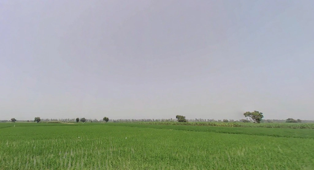 7472+Q69, Panipat, Matnauli, Haryana 132122, India