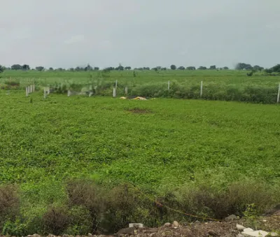Parwaliya Sadak, Madhya Pradesh 462036, India preview 3