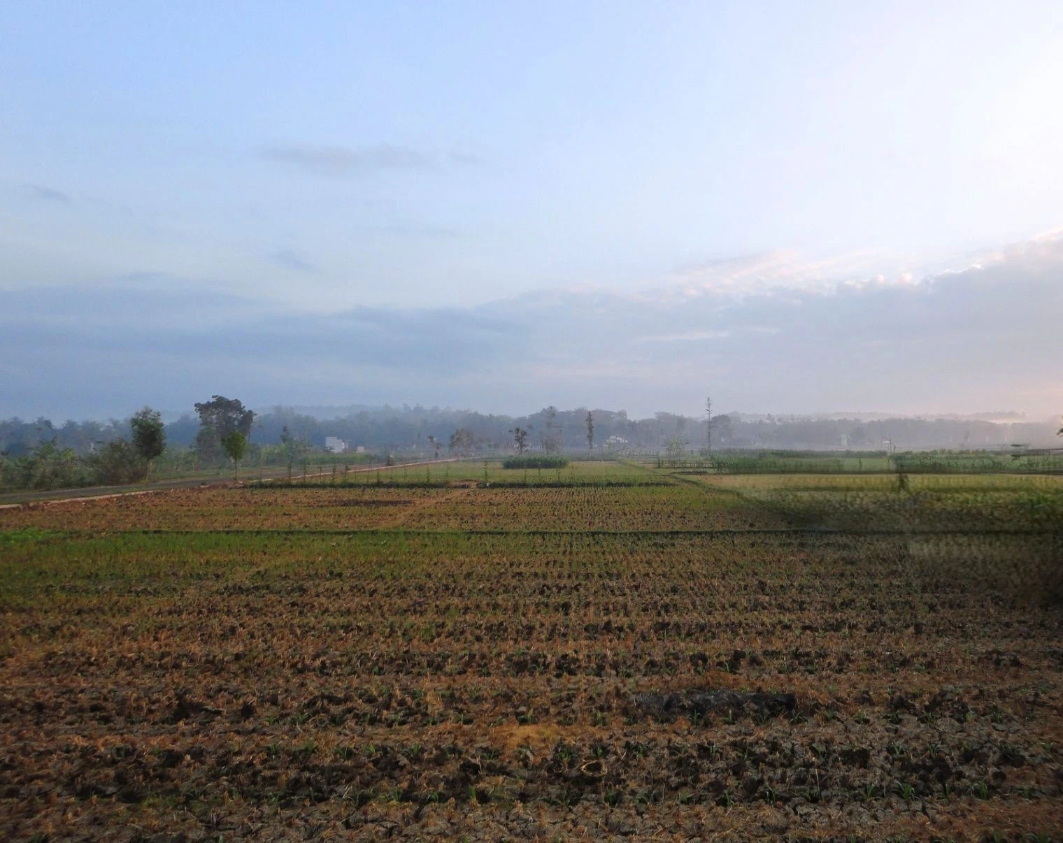 Kareeriya, Rajasthan, India