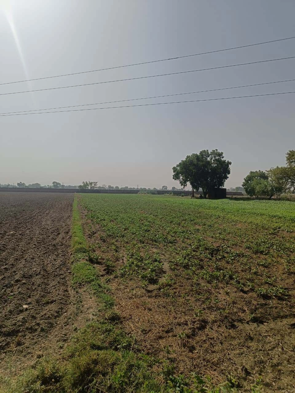 Ajhai Kalan, Uttar Pradesh 281406, India