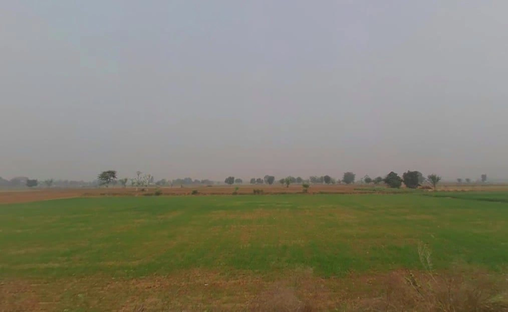 RVW5+XVC, Alapur Jatt, Rajasthan 301411, India preview 3