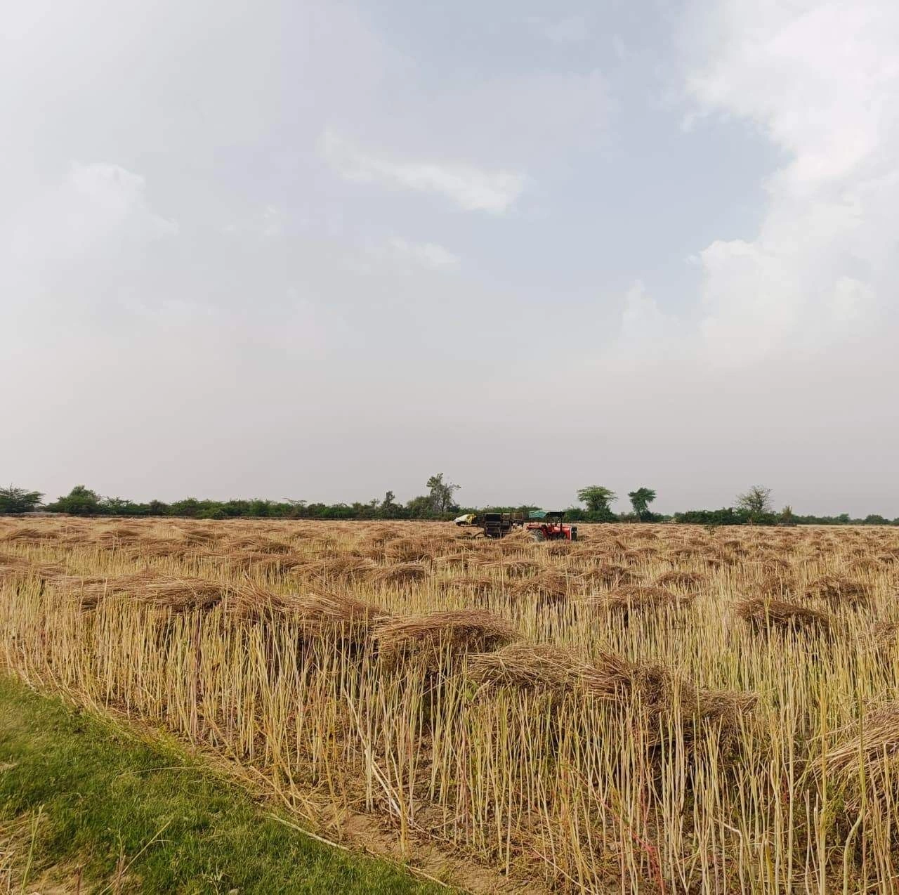 Gharwari, Rajasthan 321201, India preview 3