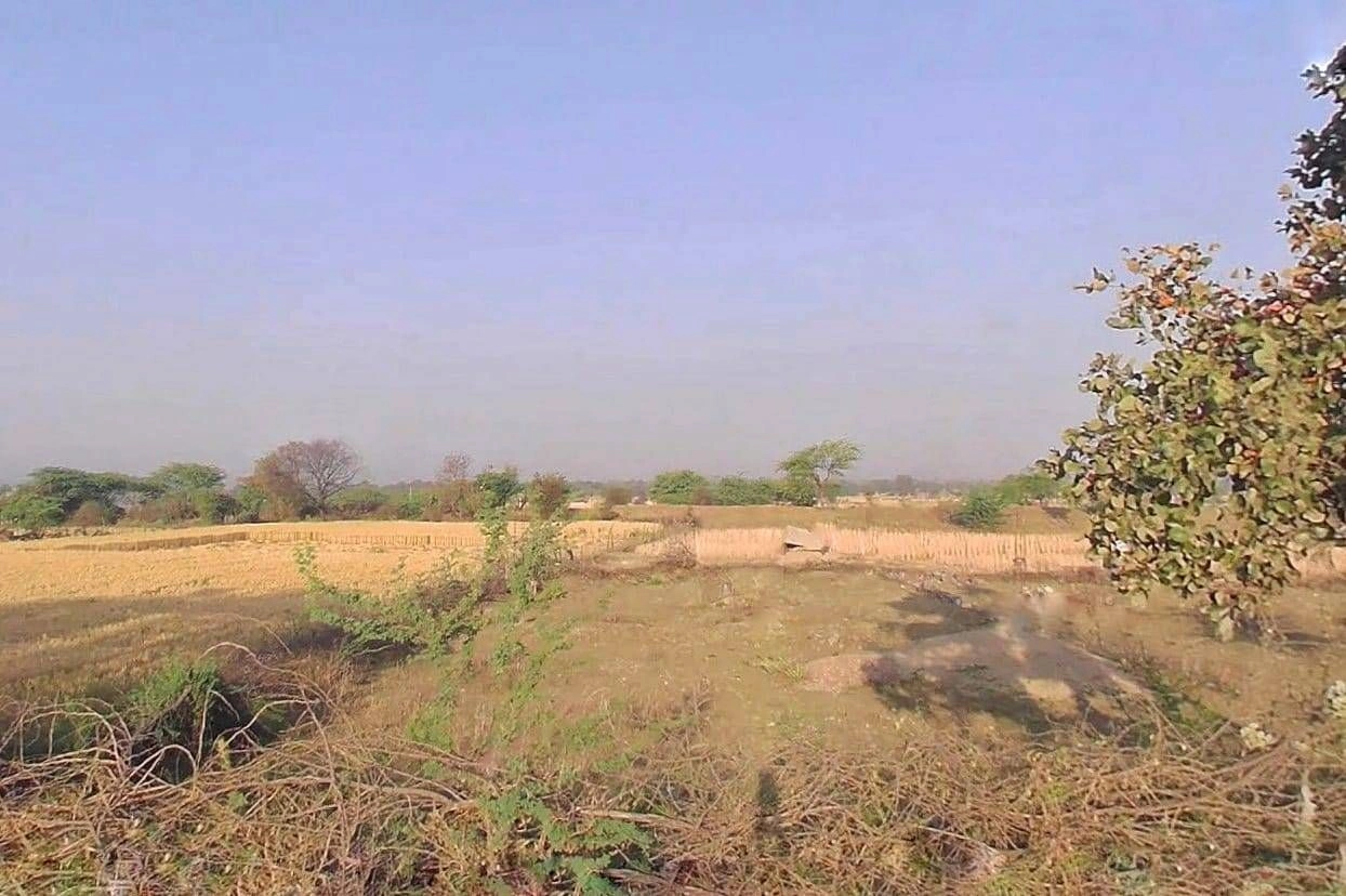 6RFW+5P5, Bor Khandi Khurd, Rajasthan 304021, India