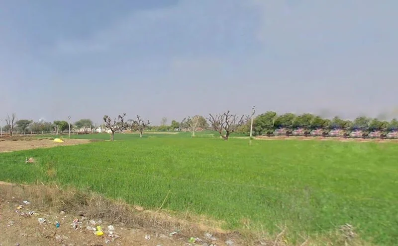 Jobner, Rajasthan, India preview 3