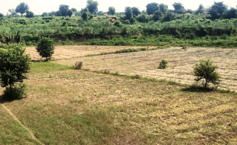 6JXV+9J9, Jaipur, Govindgarh, Rajasthan 303712, India