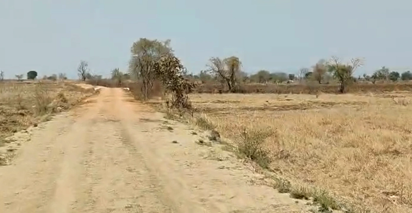 46FH+PRH, Nirmal, Malegaon, Telangana 504103, India - Photo 2