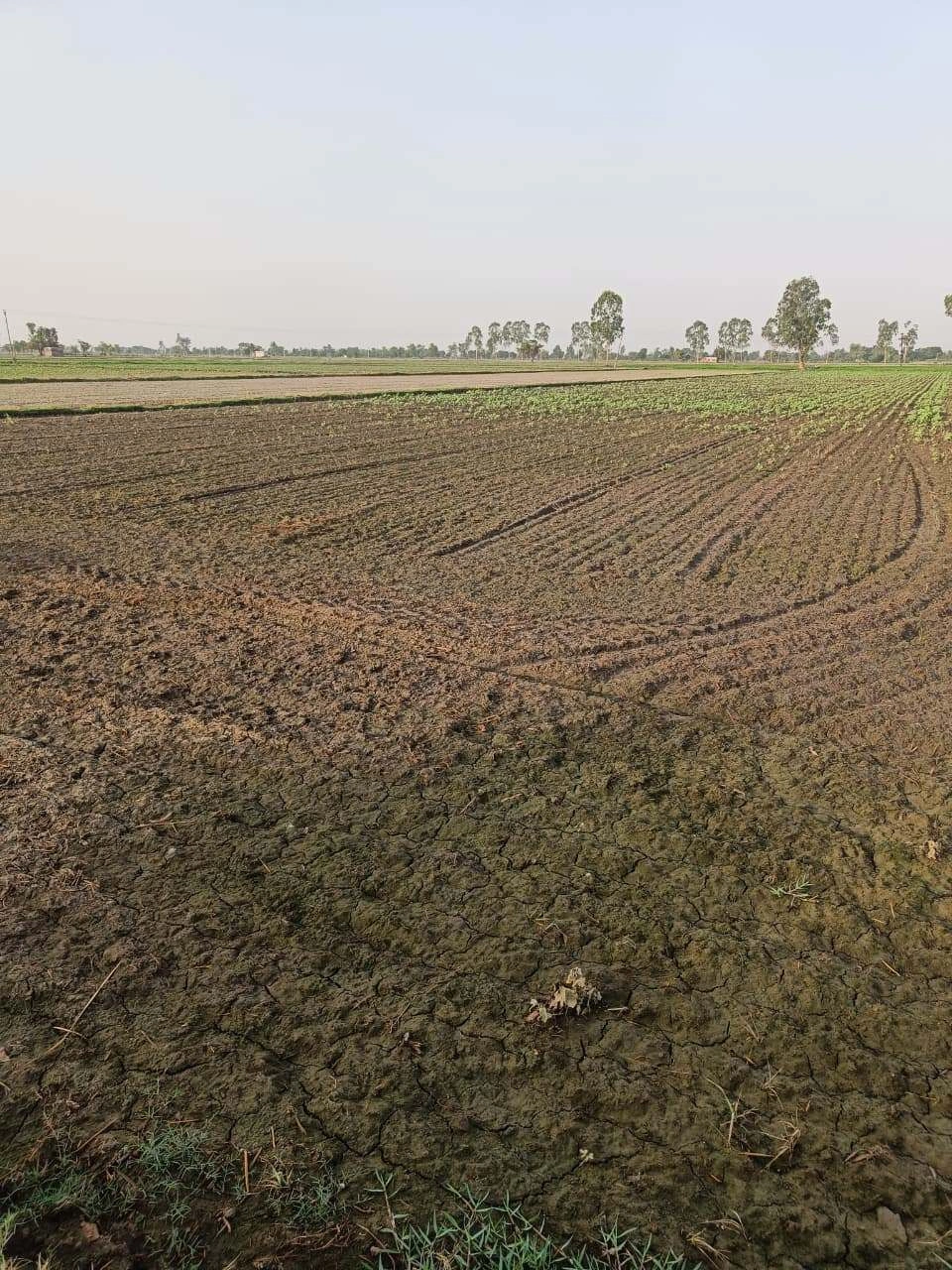 Tentigaon, Uttar Pradesh, India