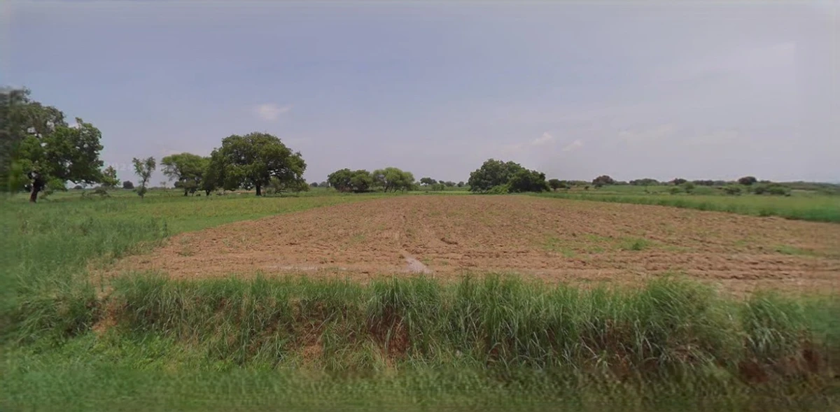 Sonipat, Haryana, India