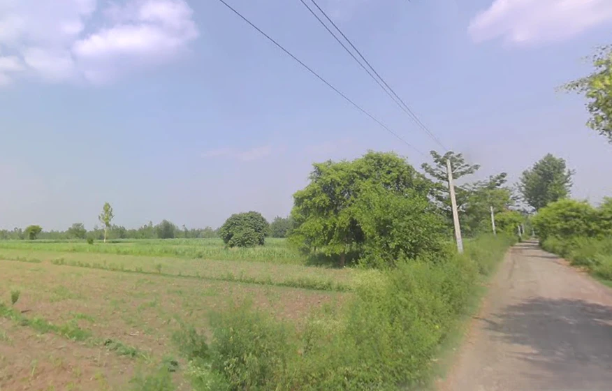 Chandra Must, Uttar Pradesh 244231, India